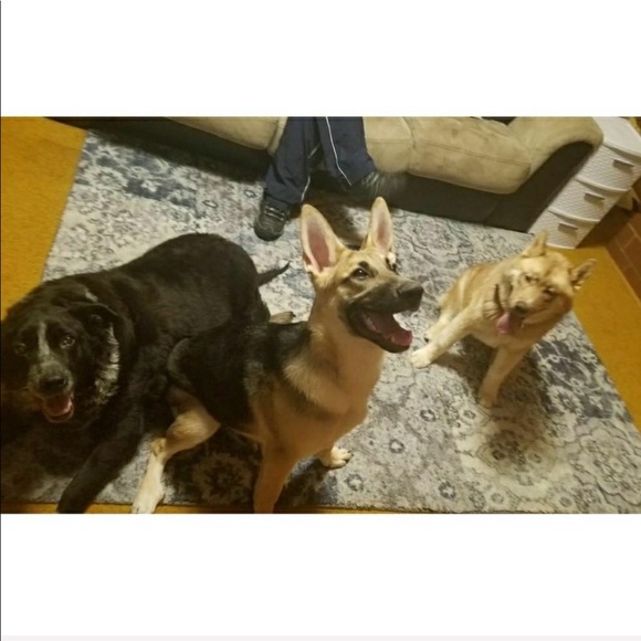 Meet your Posher, Amanda - Picture 16 of 16